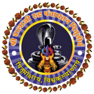 partner-logo